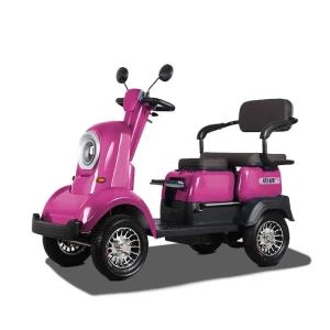 Open Recreational Small 4 Wheeler 2 Seats with a Bady seat | Durable and Comfortable