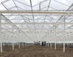 Agricultural Greenhouse / Greenhouse Frame