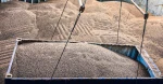 Wood pellet