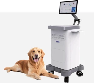 Veterinary digital electronsurgical workstation