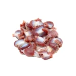 Frozen Chicken Gizzard Bulk Fresh Tender Meat for Export Retailers and Food Industry