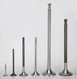Marine engine valve