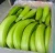 Import SELL GREEN PLANTAIN FRESH from Ecuador