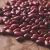 Import KIDNEY BEANS from South Africa