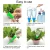 Import Garden DIY Automatic Drip Water Spikes Device System Houseplant Taper Dripper Plants Self Watering Spike from China