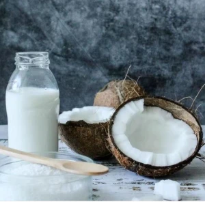 Good Quality Coconut Milk Powder with Best Offer