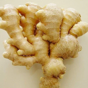 100% BEST PRICE OF FRESH GINGER WITH HIGH QUALITY