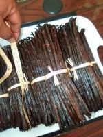 Vanilla Beans