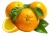 Import Citrus Nobiletin from China