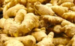 Fresh / Dried Split Ginger