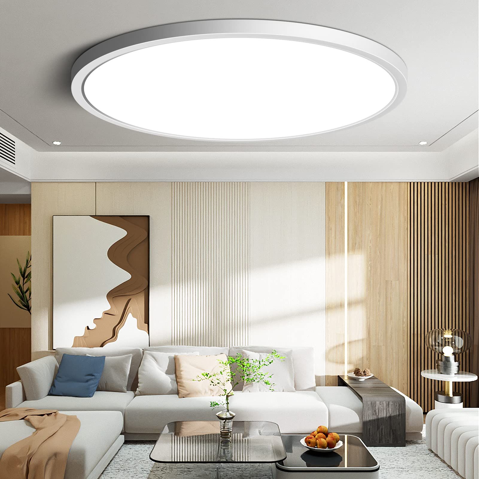 Buy Led Ceiling Light 12 Inch 24w Modernt Black from Chizhou Echeer ...