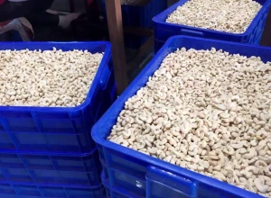 High Quality Cashew Nuts Good Price W320 Cashew Nuts Natural Nuts