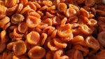 Premium Dried Apricots Naturally Sun Dried for Healthy Eating