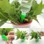 Import Garden DIY Automatic Drip Water Spikes Device System Houseplant Taper Dripper Plants Self Watering Spike from China