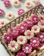 Scented soy wax candles