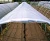 Import Clear covers woven greenhouse film,9mil 10*100ft poly fabric sheeting from China