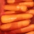 Import Good quality Fresh Carrots from China