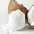 Import Good Quality Coconut Milk Powder with Best Offer from Cameroon