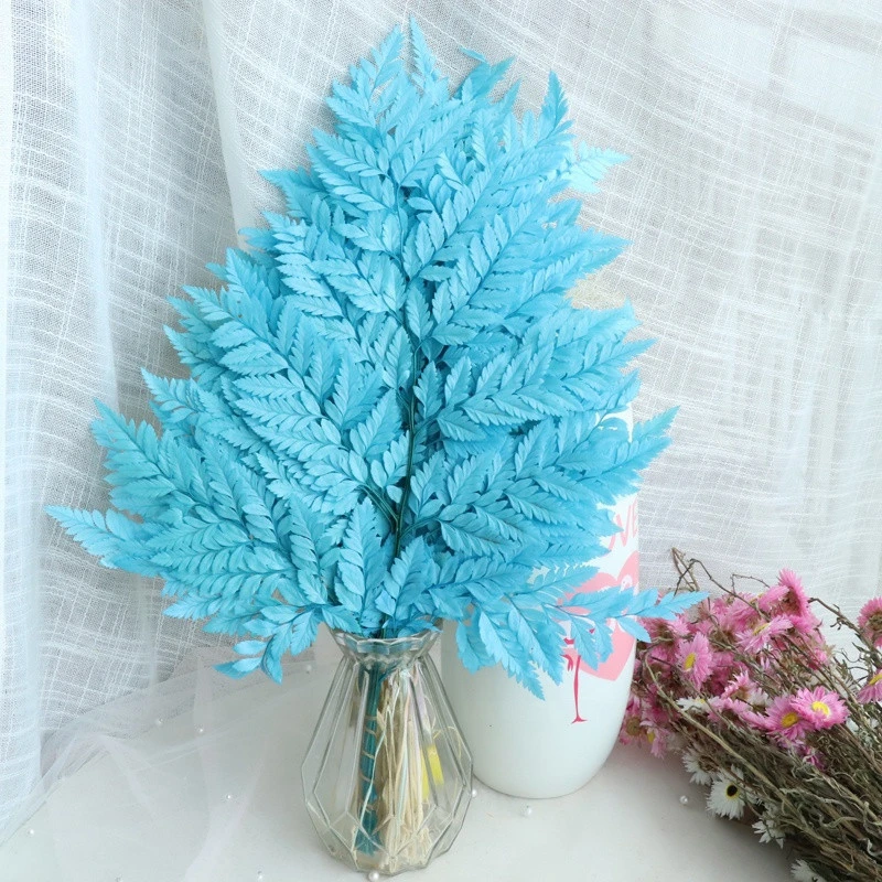 10 pcs Natural Dried High Quality Plant Multi Color Table Decor Eternal Branch Leave Preserved Fern Leaf