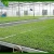 Import 1.0mm Thickness PS material 200 cell plastic seedling pots rice seedling germination trays seeding tray nursery tray planting from China