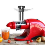 150W Tigress Slow Juicer Horizontal Wheatgrass Juicer Extractor Vegetable Pomegranate Juicer