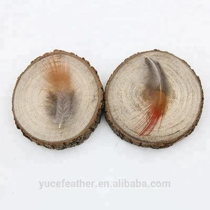 1.6-2.8 Inch(4-7 cm)Wholesale High Quality Natural Red Pheasant Feather