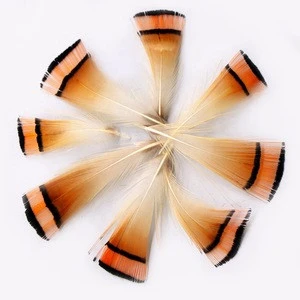 1.6-3.2 Inch(4-8 cm)Wholesale High Quality Natural Color Golden Pheasant Head Feather orange small feathers