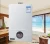 Import 16~20L Balanced high quality hot sell gas water heater from China