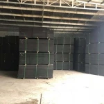 18mm Film Face Plywood for construction/ Hot sales from HOLCOM