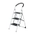 Import 2 Step Ladder With Handrail Household Rubber Feet For Step Ladder 150kg Capacity from China