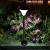 Import 2018 New Design Outdoor Lighting Christmas Lights Solar Garden Lamp IP65 ABS Solar Lawn Lamp from China