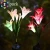 Import 2018 New solar hummingbird solar lily light landscape lamp from China