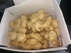 2019 New Crop Ginger Fresh Ginger