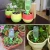 Import 2021 Popular House Plant Drip Water Automatic Devices Self Watering Spikes from China