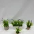 Import 25CM New Lavender potted plant from China