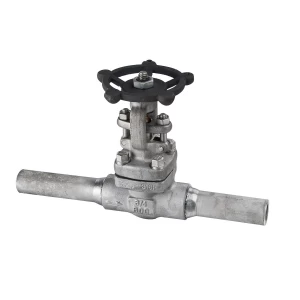 3/4 Inch Forged Stainless Steel High Pressure API 602 Globe Valve with Pup Pieces