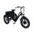 Import 350 W Aluminum Alloy Frame Three Wheel Electric Tricycle from China