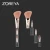 Import 4 in 1Popular hot-selling multi-functional  Makeup Brush high-end product from China