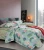 Import 4pcs   100% cotton  bedding sheet set  fitted bed sheet king size single size and queen size bedding set from China