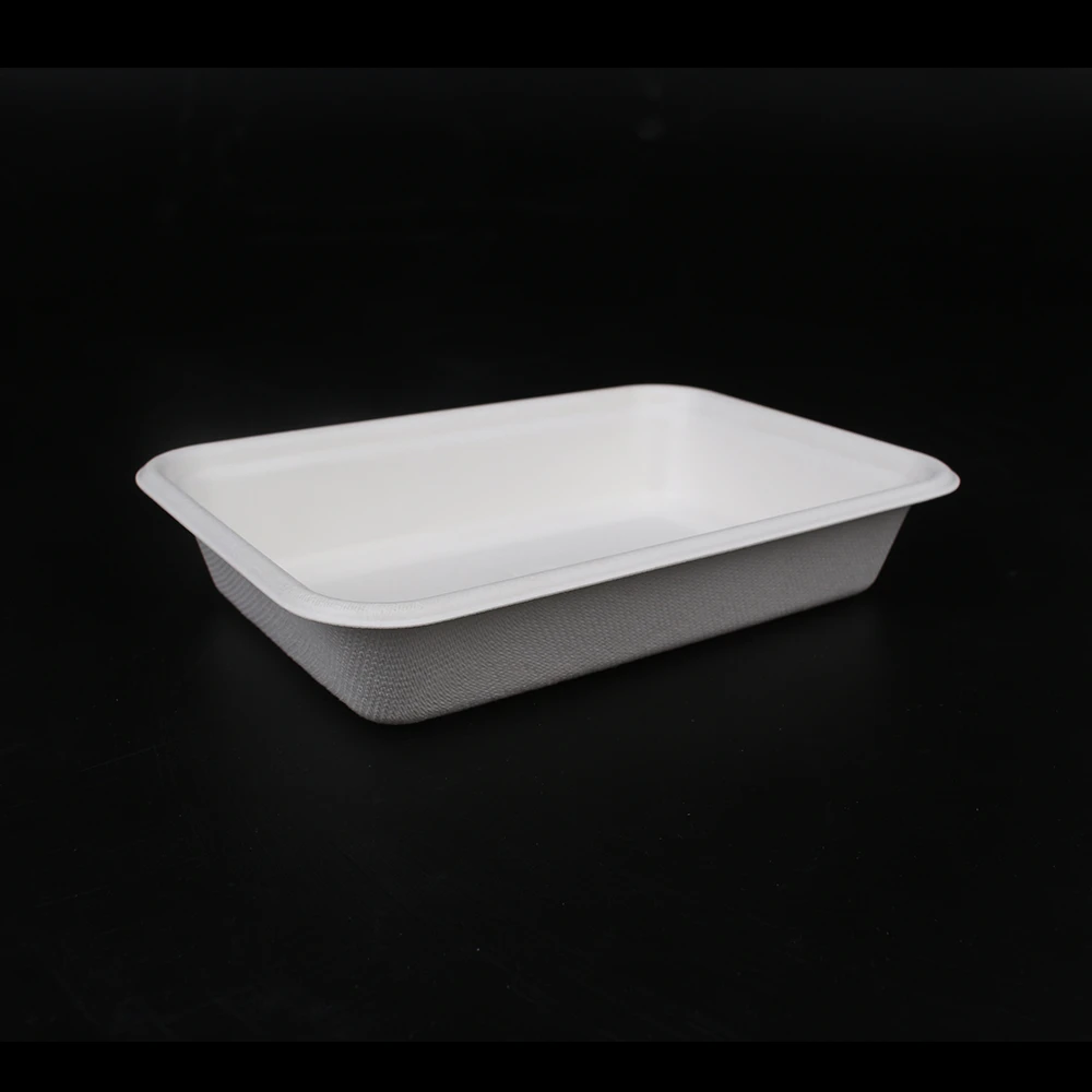 500ml Disposable Sugarcane Bagasse Food Container Bagasse Food Box Storage Boxes &amp; Bins Eco-friendly Injection Square Modern