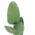 Import 65 Tall Tropical Artificial Plants Travellers Banana Tree for Hotel Decoration from China