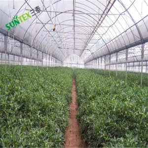 6mil transparent pe plastic sheeting agrictural film, Polyethylene Materials clear UV protection greenhouse film cover 15*30m