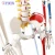 Import 85cm Flexible Hanging Human Skeleton Model with Spine Nerves and Half Muscle Painting Numbers for Medical Science Teaching from China