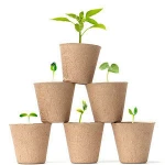 8cm organic garden germination nursery seedling pots vegetable flower fruit starter peat pot pellets seed growing starter trays