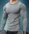 Import 95% cotton 5% spandex mens gym dry fit muscle shark compression t shirt from China