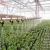 Import Agricultural Drip Irrigation Pipe Systems For Farm Irrigation With High Quality from China