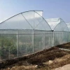Agricultural Single Span Tunnel Plastic Greenhouse