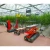 Import Agricultural Vegetable Intelligent Glass Greenhouse with Hydroponics System Price from China