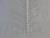 Import agriculture anti bird spike 304 stainless 50cm 2016 plastic bird spikes HC1101-W4 from China