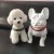 Import Amigo New Design Padded Nylon Custom Printing Christmas Halloween Holiday Party Decor Adjustable Safety Pet Dog Collar from China